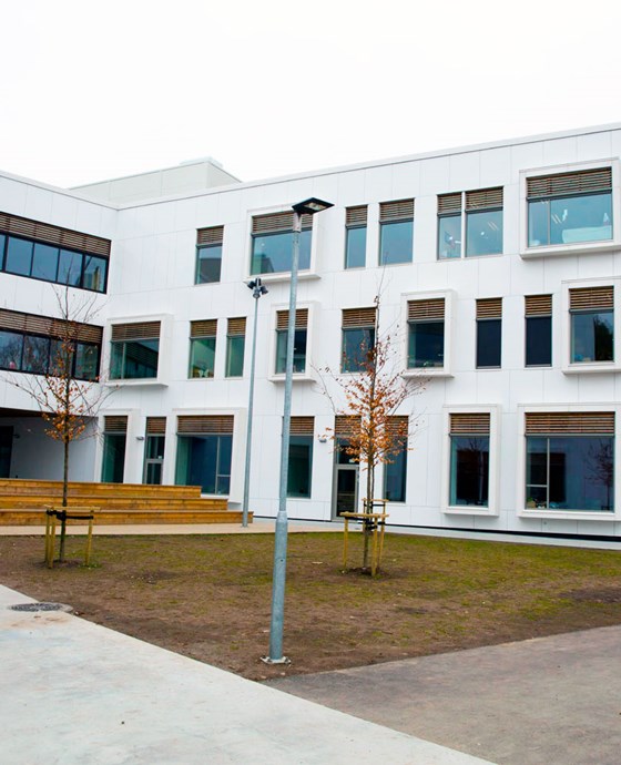 Larvikissä sijaitseva Fagerlin koulu lukeutuu Norjan suurimpiin ala-asteen kouluihin, jossa eri luokka-asteilla on neljä rinnakkaisluokkaa. Koulurakennuksen pinta-ala on peräti 12 500 neliömetriä. Rakennuksen yhteydessä toimivat myös monitoimihalli, päiväkoti ja perhekeskus.